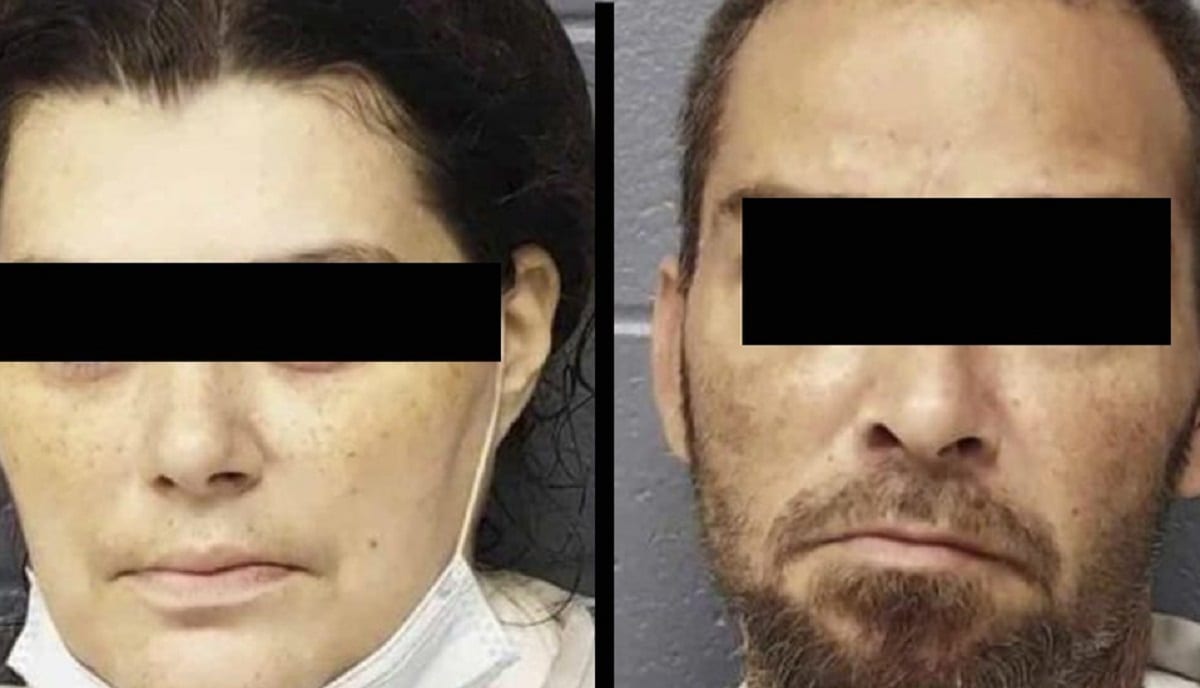 Niña muere por posibles 'picaduras de piojos'; detienen a sus padres en EU 1 piojos chupan sangre nina muere