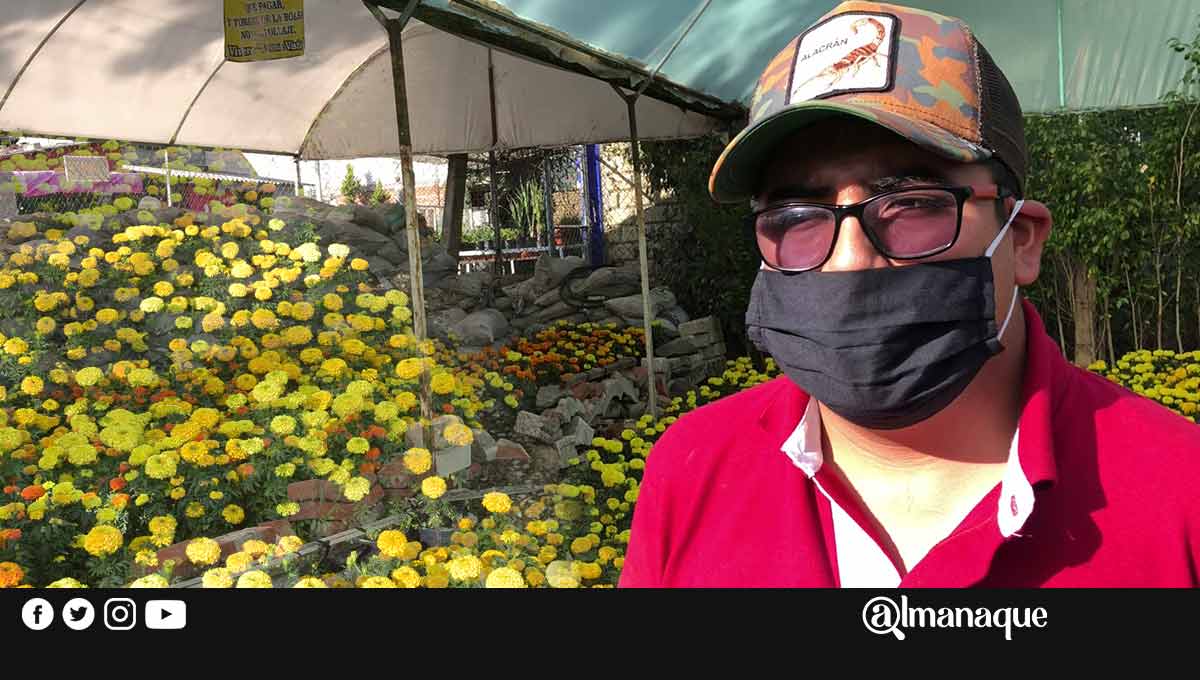 Venta de cempasúchil caerá por cierre de panteones y cancelación de ofrendas en escuelas 4 portada productor flor