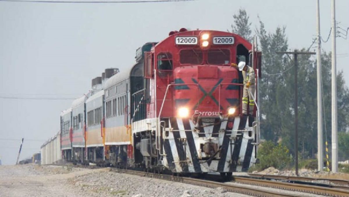 Migrante muere al caer del tren en Cañada Morelos 1 tren 1