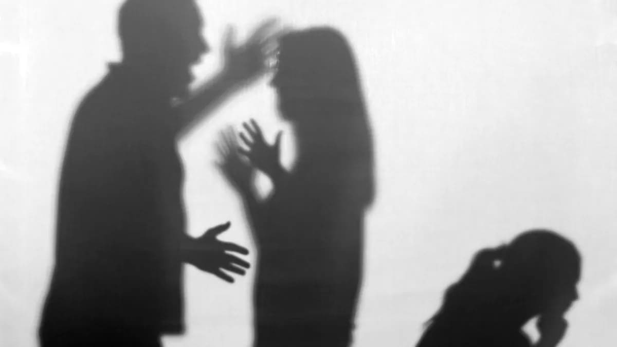 IEE y Fiscalía crearán registro de agresores contra las mujeres que no participarán en el proceso electoral 2 violencia familiar Puebla
