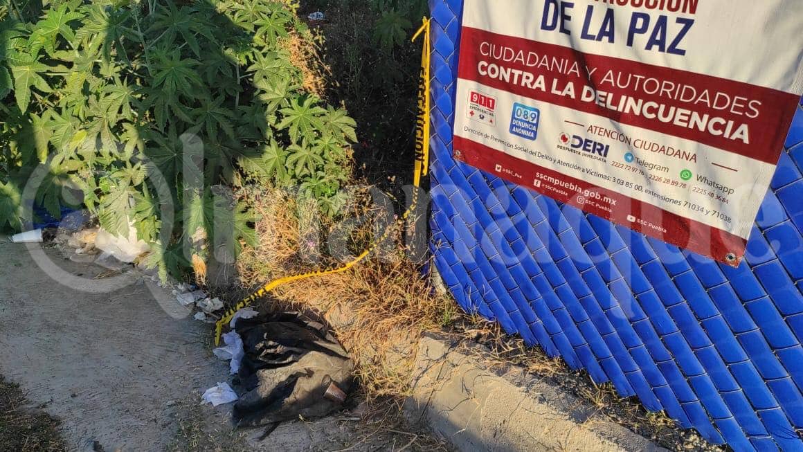 124481707 383527792859483 8601139244203789533 n 1