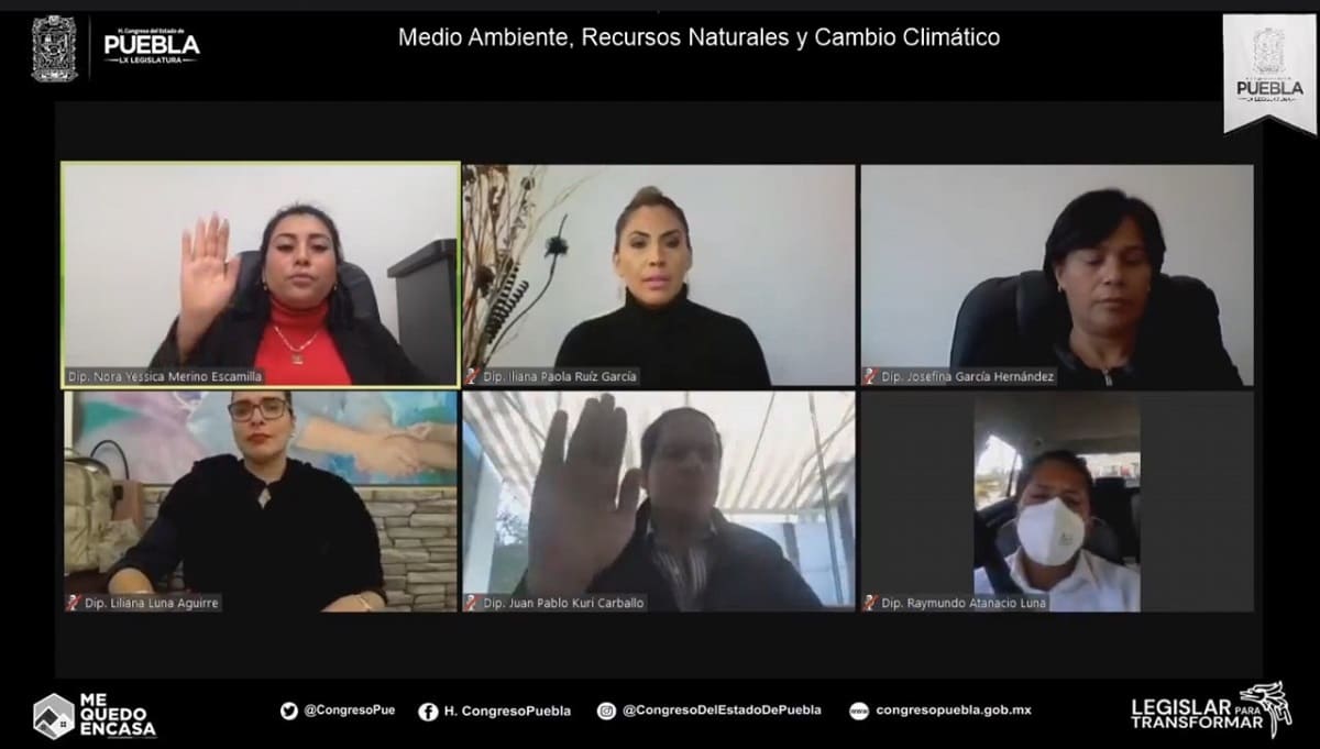 Aprueban reformas a la Ley de Bienestar Animal 1 1366 2 1