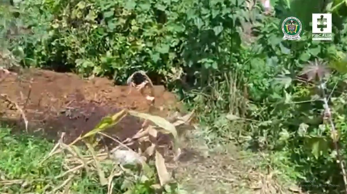 Detienen a sujeto que maltrató y quiso enterrar viva a una yegua en Colombia 1 FGJE 1