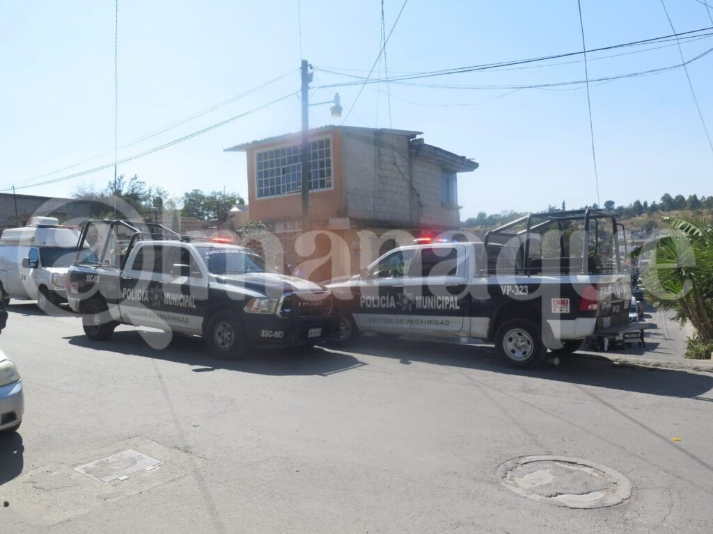 WhatsApp Image 2020 11 09 at 4.32.07 PM