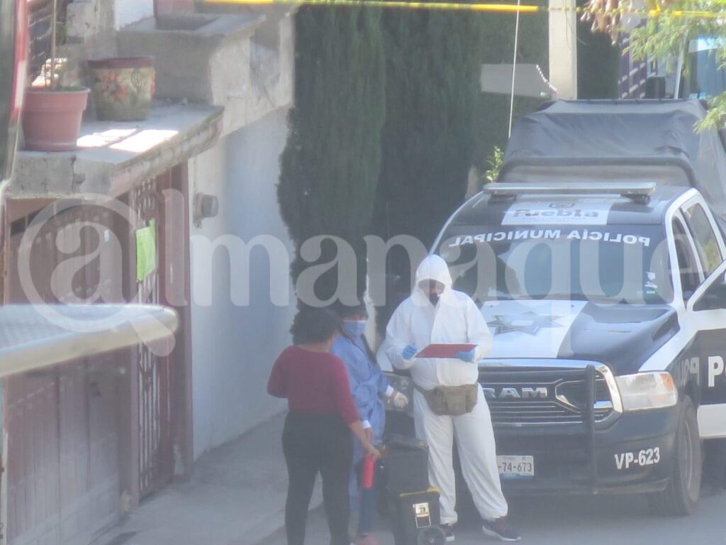 WhatsApp Image 2020 11 09 at 4.32.08 PM 1