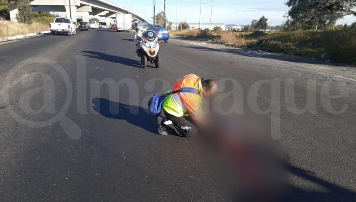 Fallece hombre al ser atropellado en la autopista de Puebla 1 WhatsApp Image 2020 11 17 at 6.30.37 PM 1