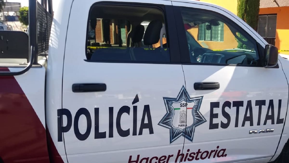 Se registra balacera en La María; Policía Estatal rescató 12 migrantes 1 WhatsApp Image 2020 11 17 at 6.51.11 PM 1