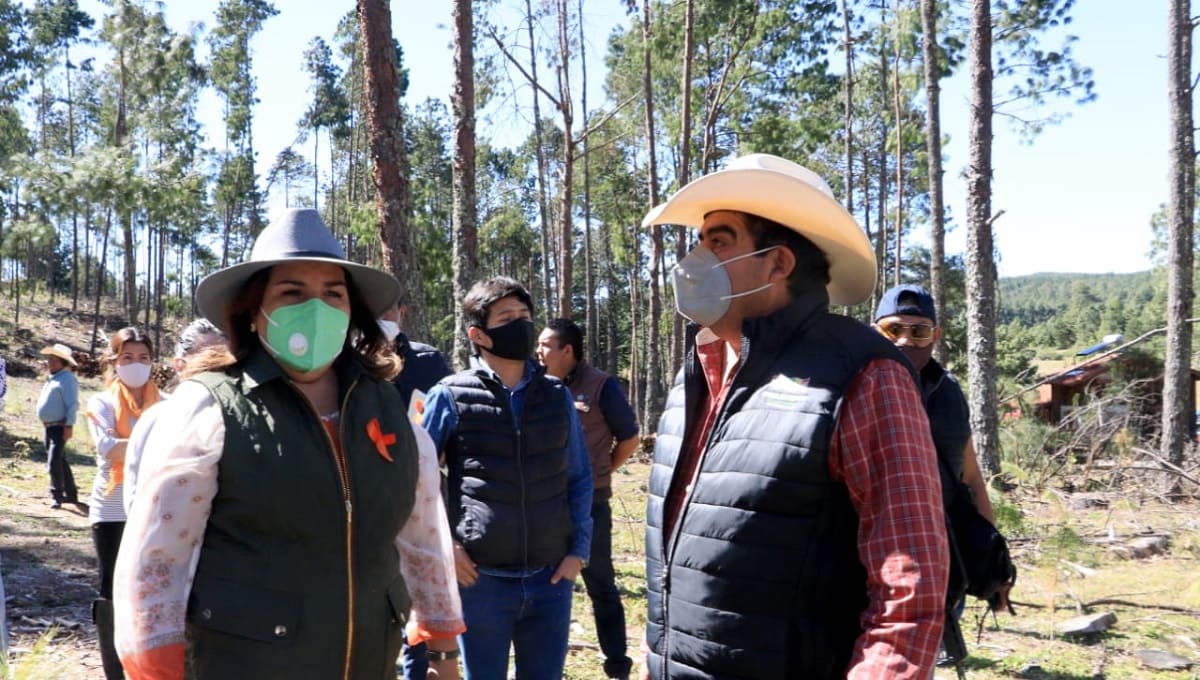 Promoverá Medio Ambiente acciones de recuperación forestal en Ahuazotepec 1 ahuazotepec medio ambiente puebla 1