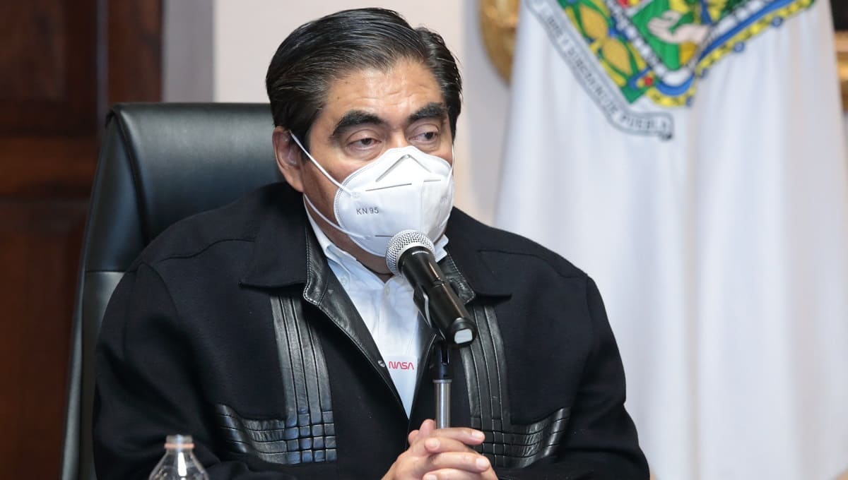 barbosa flor del bosque nov 1