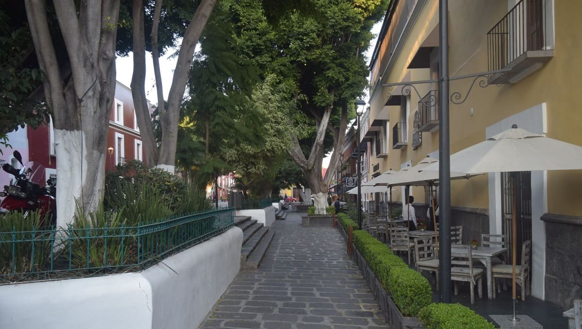 Al igual que Gali y Banck, Claudia Rivera remodelará Los Sapos con 2.2 mdp 7 los sapos 2 1