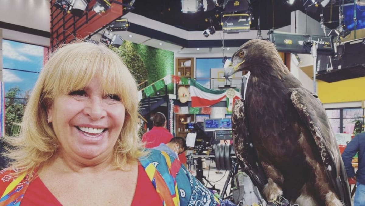 Magda Rodríguez murió por un shock hipovolémico ¿Qué es? 1 magda rodriguez shock 1