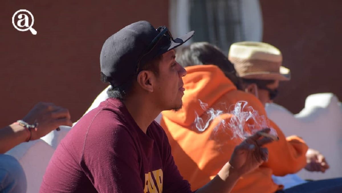 Pide diputado federal de Morena parques para fumar marihuana en Puebla 1 parque cannabico 1