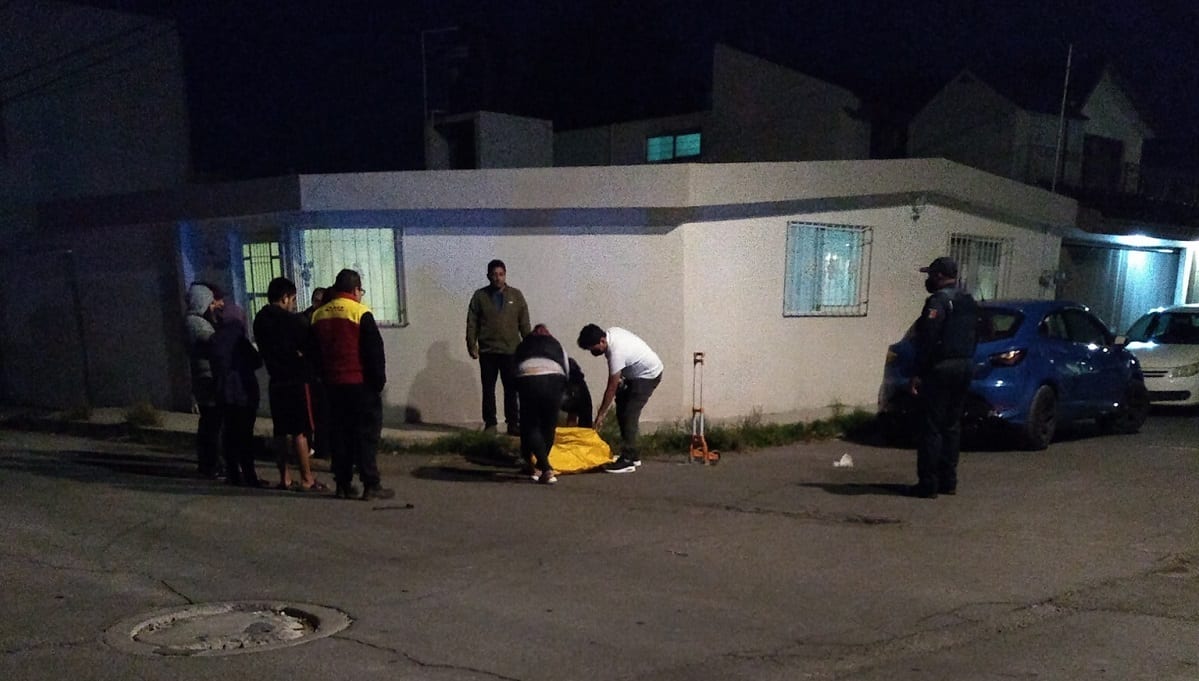 Vecinos de Tres Cruces asesinan a un Pitbull que casi le destroza el brazo a una persona 2 pitbull