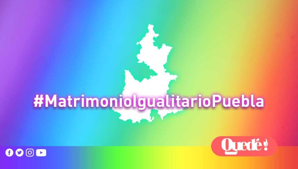 reacciones matrimonio igualitario