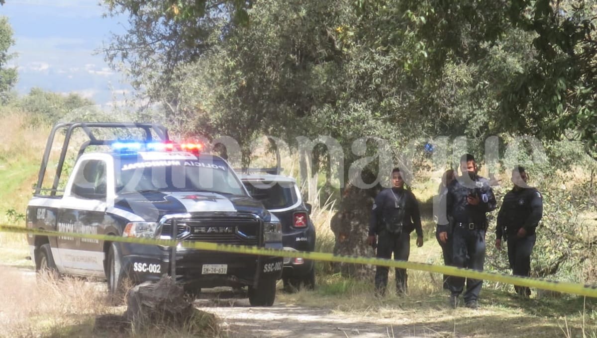 131970215 1460001434192958 5495732582287284513 n 1