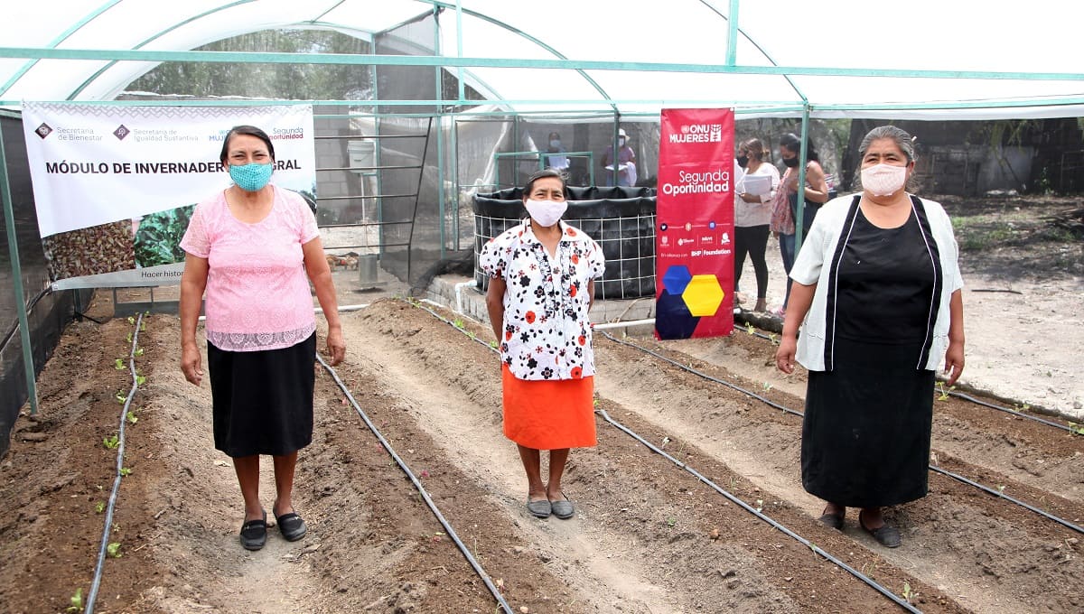 2doinforme campo poblano 1