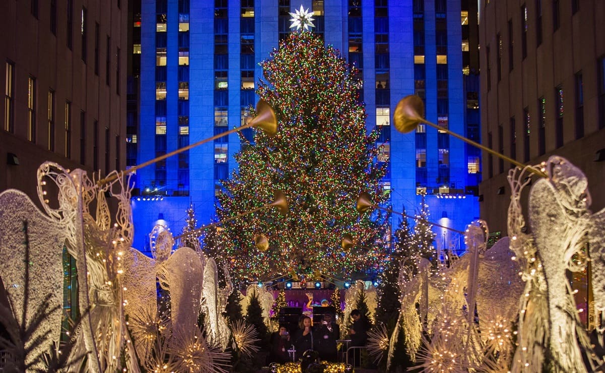 Arbol 1