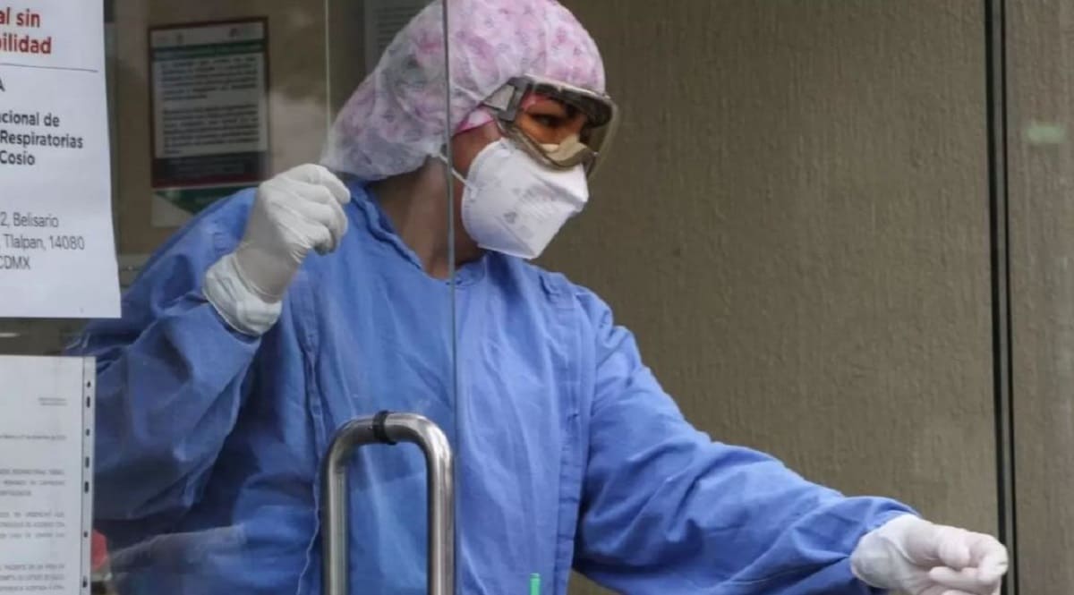 ¡Lo que faltaba! Hongo mortal que resiste a medicamentos aparece en México 1 Captura 3 1
