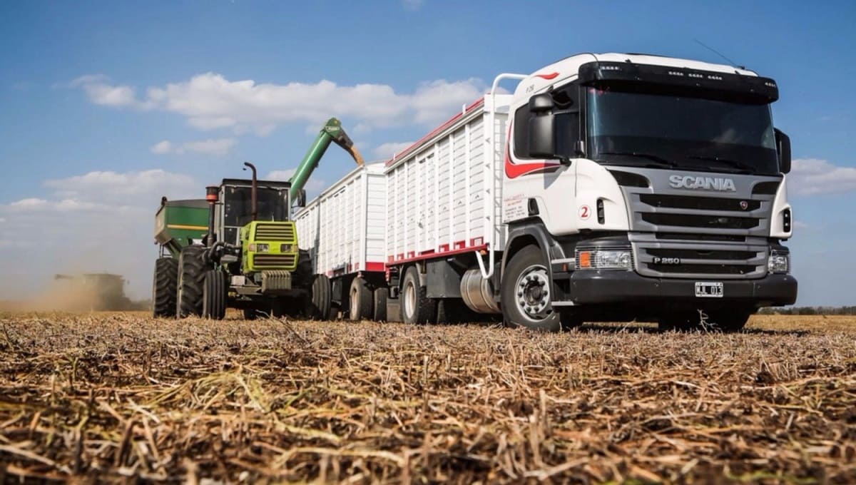 Castigarán hasta con seis años de cárcel a servidores públicos que detengan arbitrariamente a transportistas del campo 1 Conductor campo 1