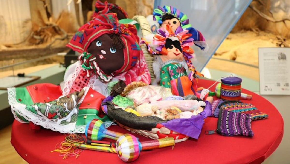 Cosen 26 reptiles en muñecas mexicanas de tela; los querían vender en Alemania 1 Contrabando 1