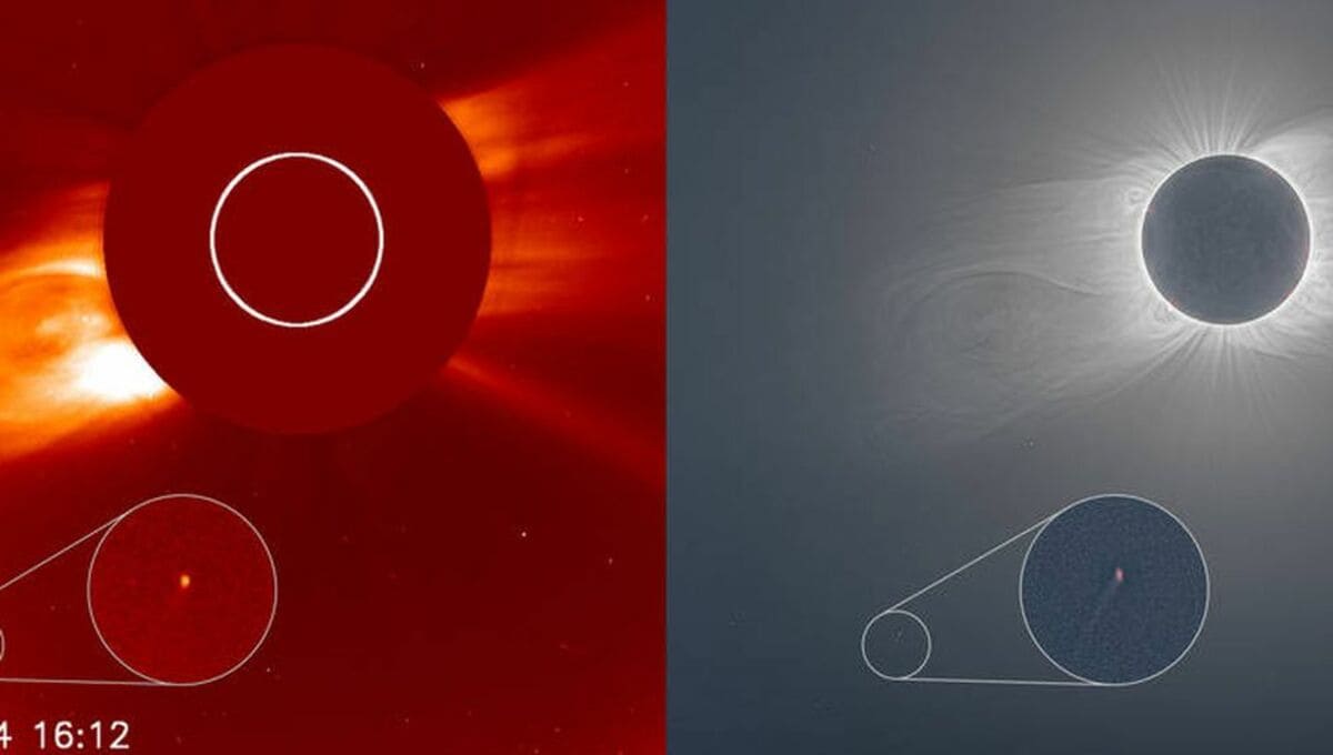 Cometa aparece durante el reciente eclipse de sol 1 Epp8seZVEAAMrWr 1