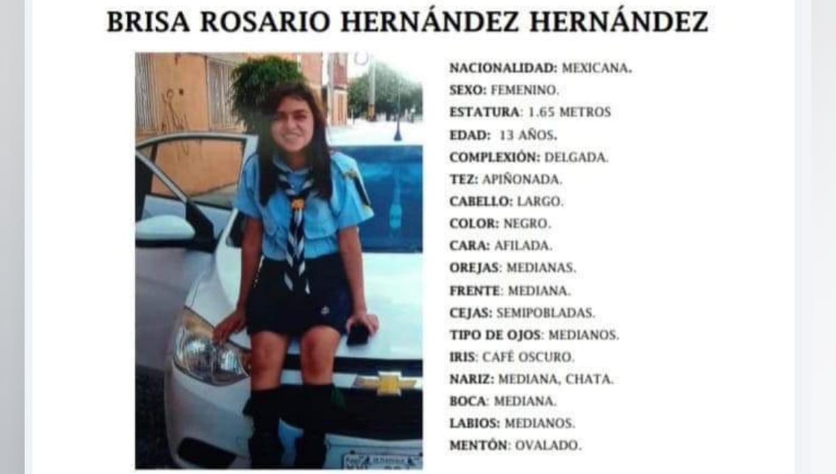 Se busca a Brisa Rosario Hernández, desaparecida en Puebla 2 InShot 20201201 102348546