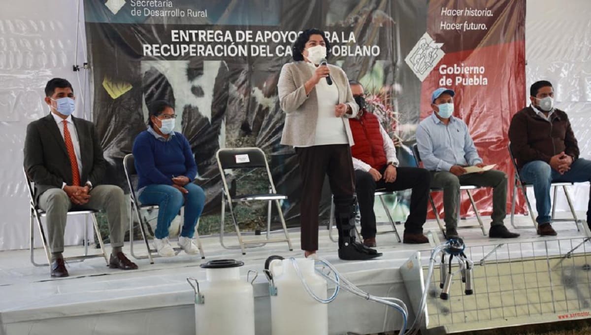 Karina Perez recuperacion del campo 1