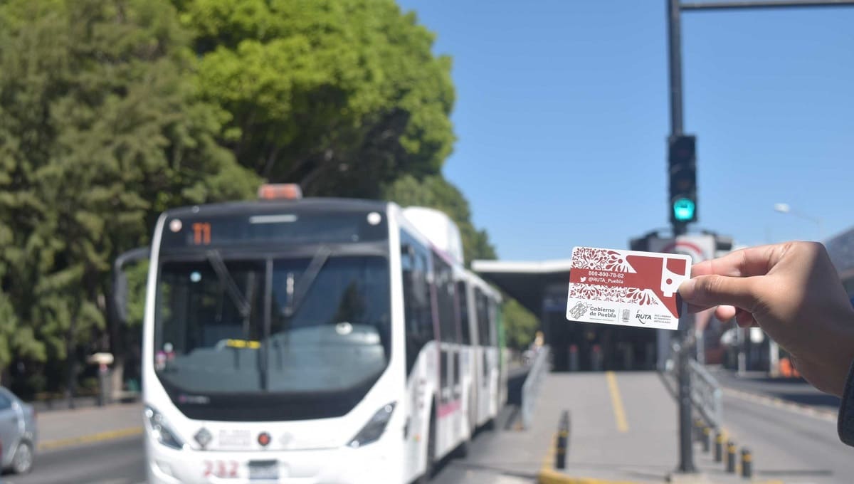 Reanudan servicio los centros de atención a usuarios de RUTA 1 Tarjeta RUTA 3 1