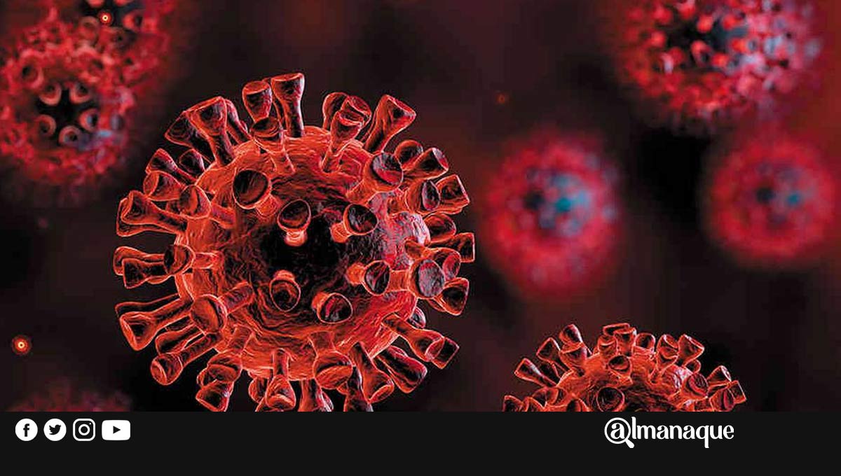 OMS: nueva variante del covid-19 de Inglaterra ha sido identificada en Dinamarca, Países Bajos y Australia 1 covid portada