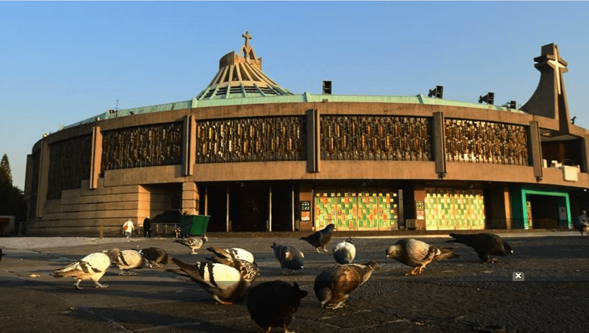 Totalmente cerrada la Basílica de Guadalupe; abrirá hasta el 14 de diciembre 1 descarga 1 1