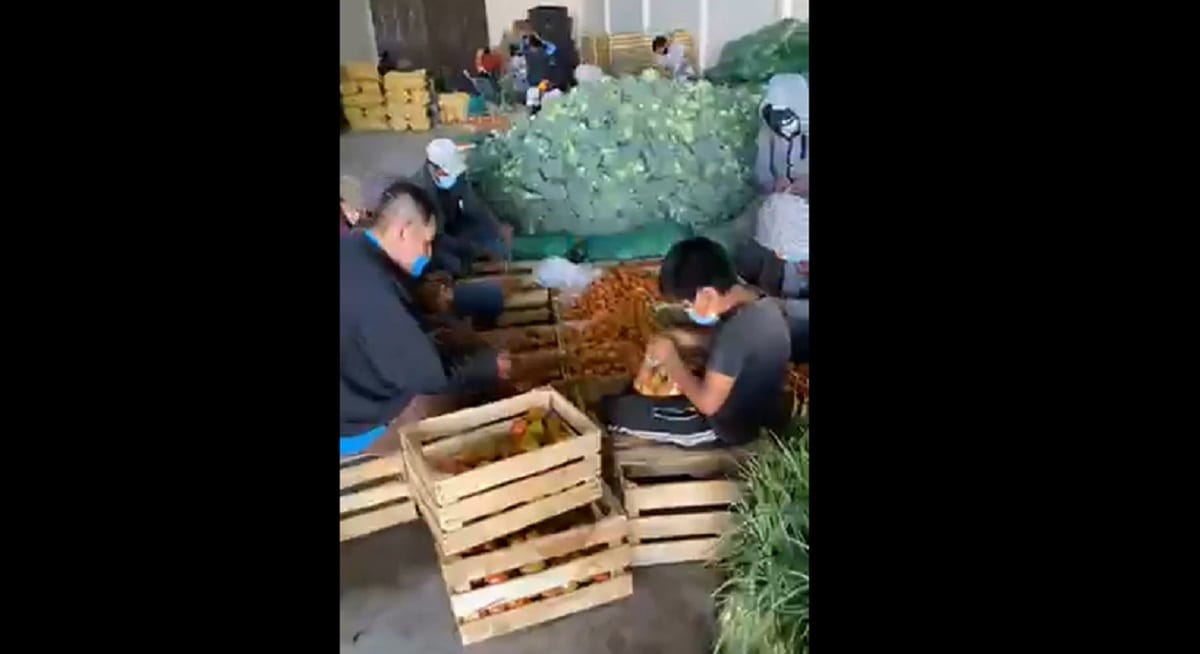"El Toñín" suspende reparto de verduras en Puebla, tras ser acusado de ser un capo huachicolero 1 el tonin
