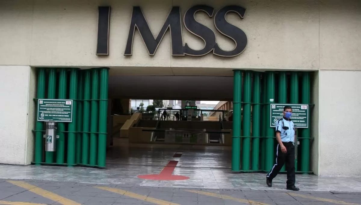 imss 1