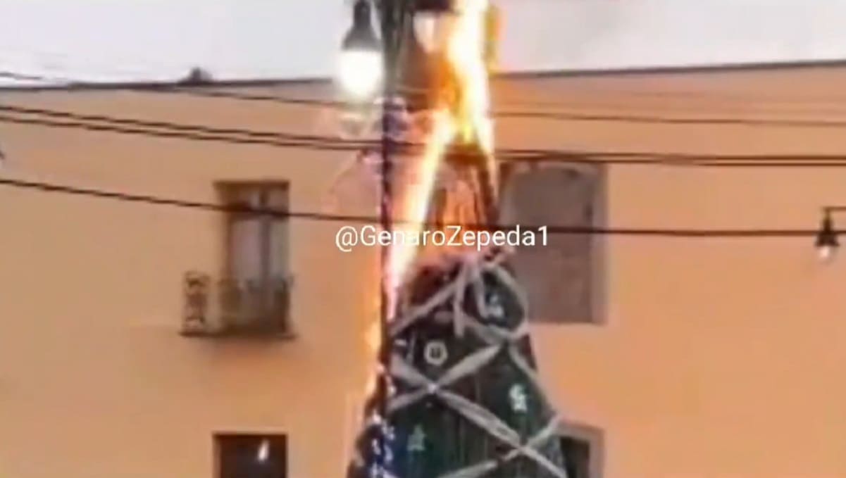 incendio arbol 1