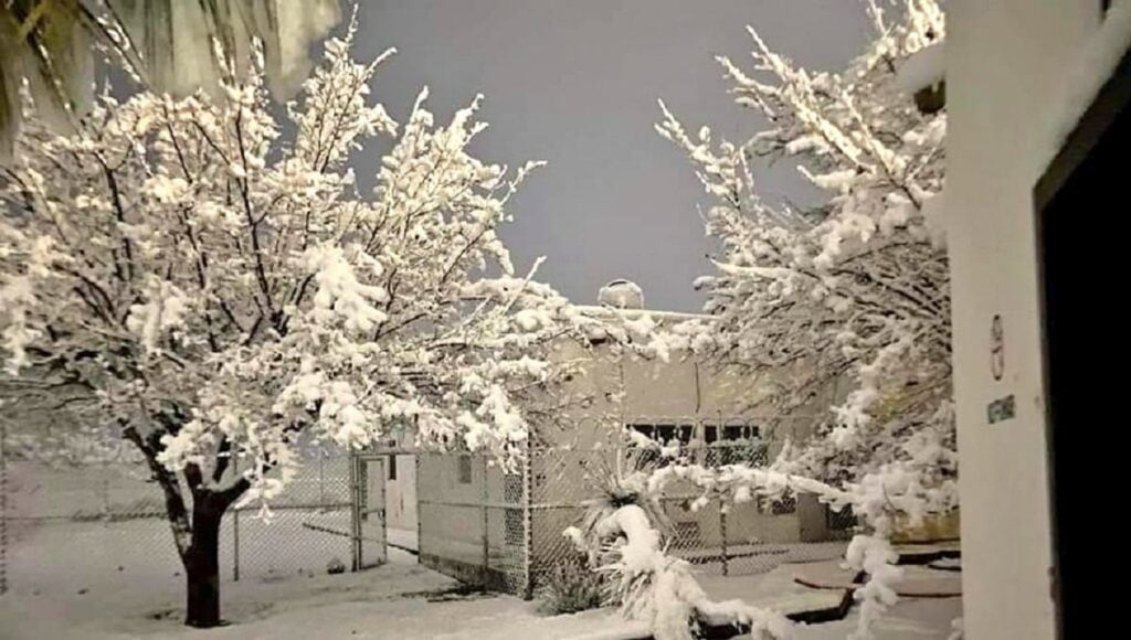 nieve