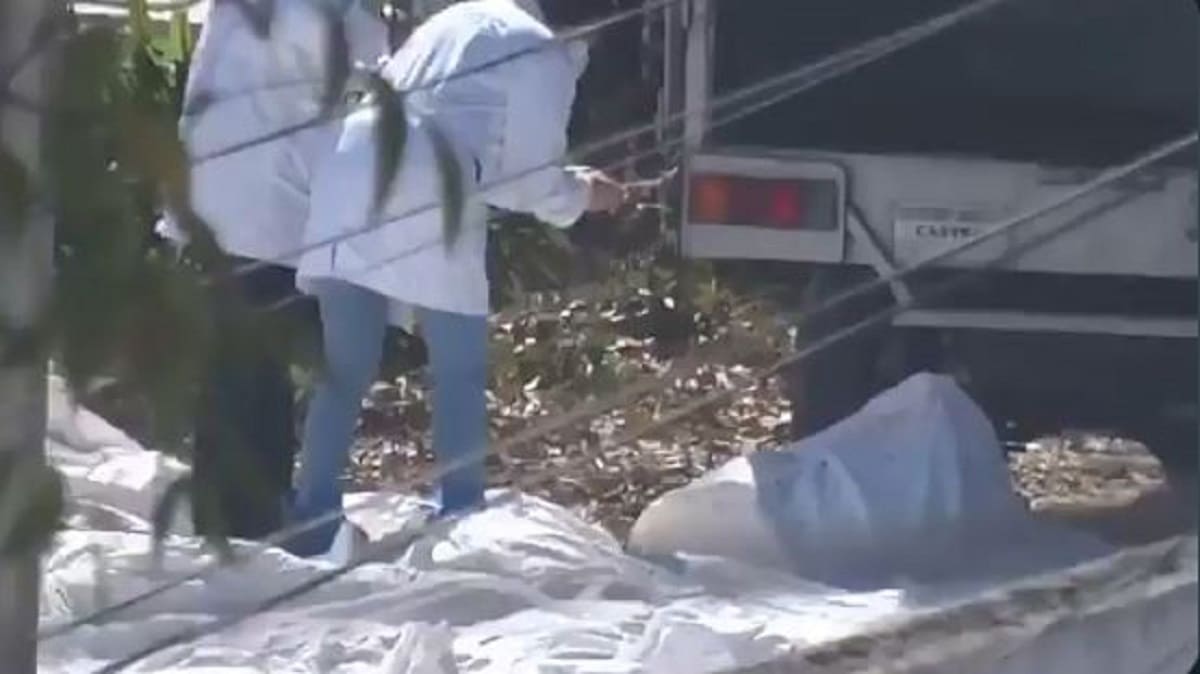 VIDEO: Graban a personal del Semefo bajando decenas de cadáveres en el panteón de La Piedad 1 semefo 1