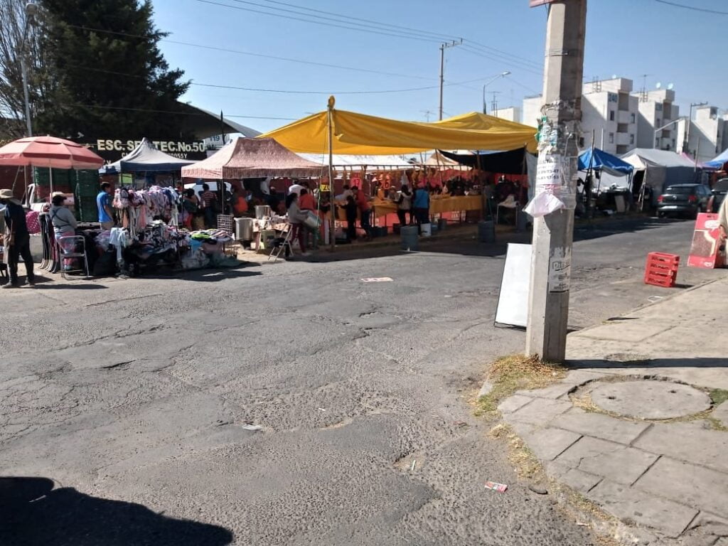 tiangusi bosques