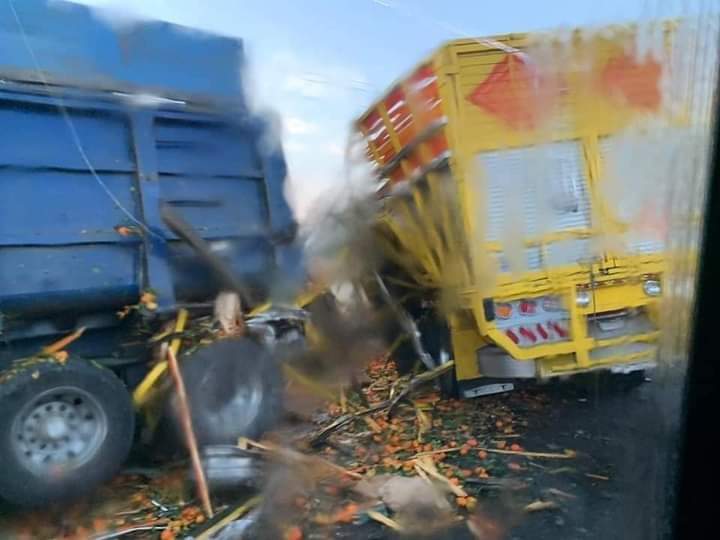 trailer2