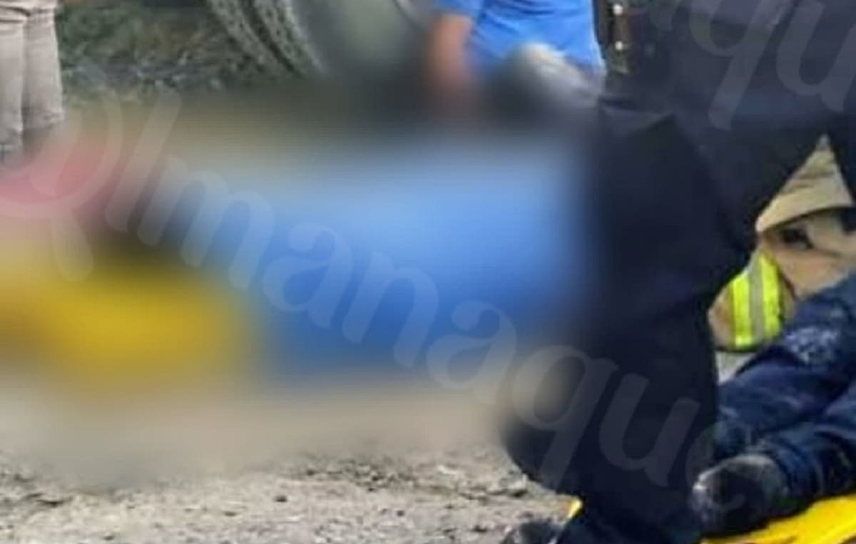 135342240 309070583849815 6243284024598210860 n 1