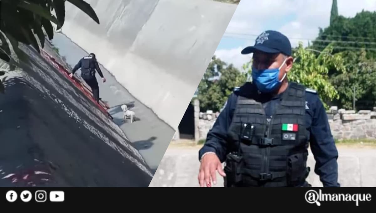¡Héroe sin capa! Policía de Cuautlancingo rescató a un lomito del río 1 136145446 566009727615755 5846539828983477623 n 1 1