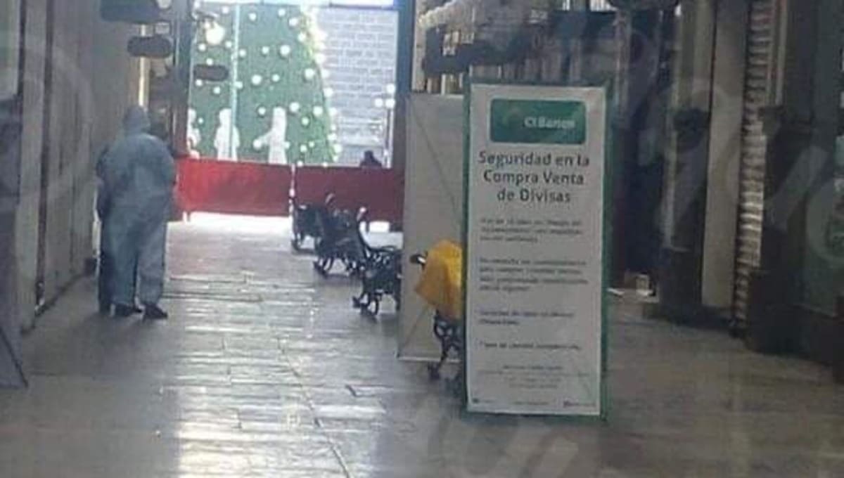 136350096 397006641369076 6750290063763916413 n