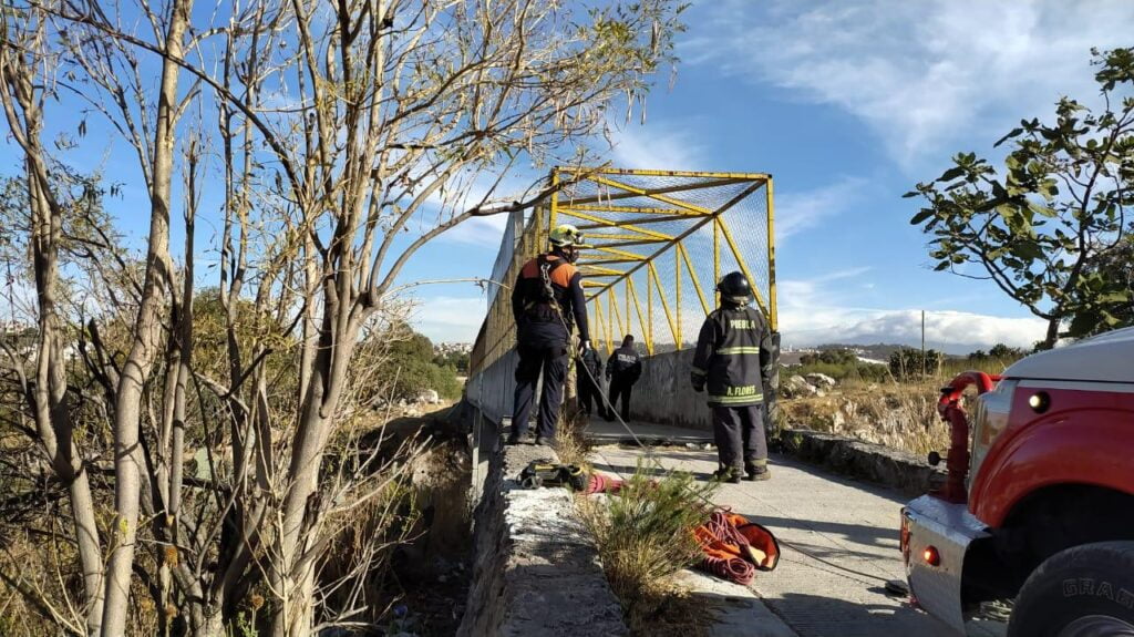 7c68e8c6 ef5a 4eeb 9524 b4227195a693