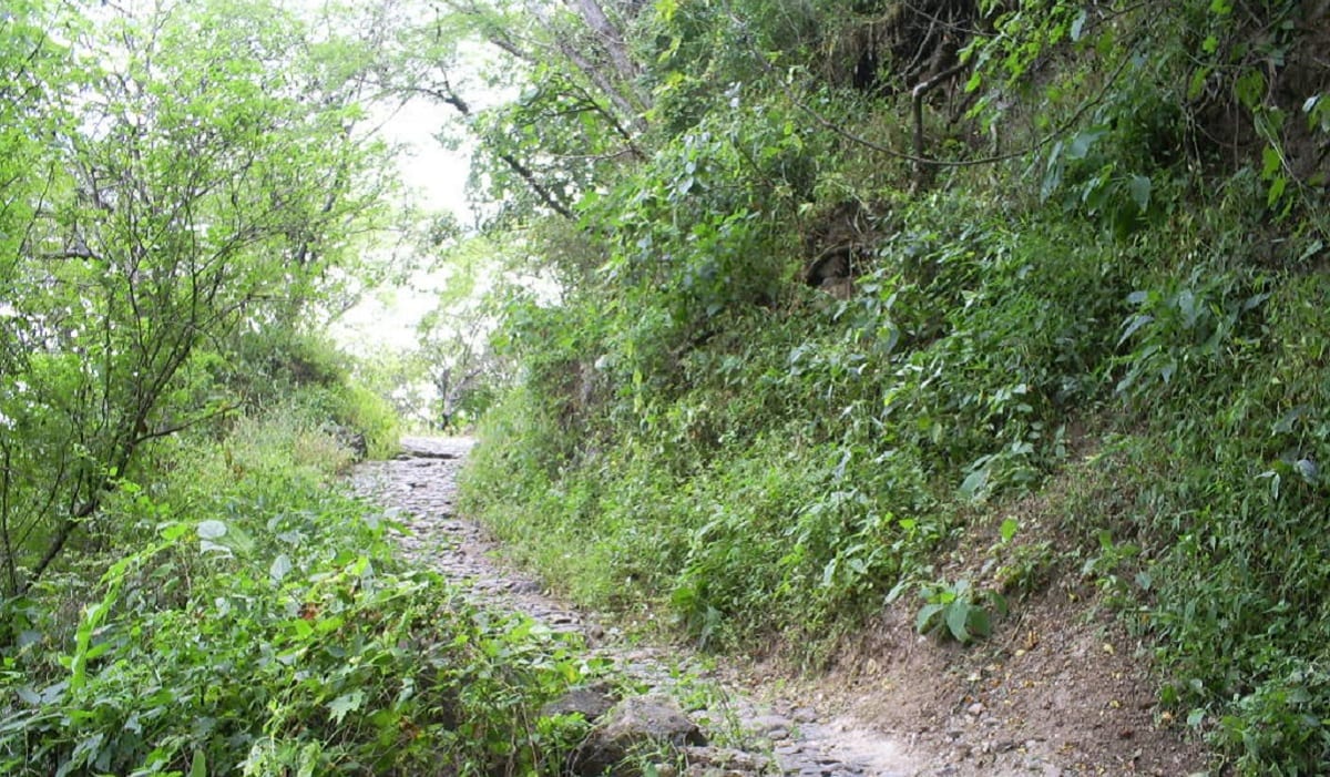 Niño cae en barranca del Texis, en Acajete 2 barranca 1