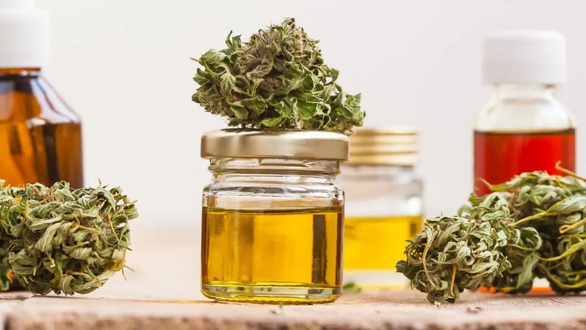 Extractos de Cannabis reducen la posibilidad de enfermar de COVID-19: estudio 1 cannabis 1