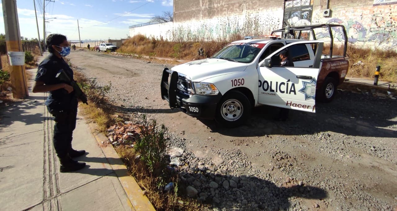 embolsado 1