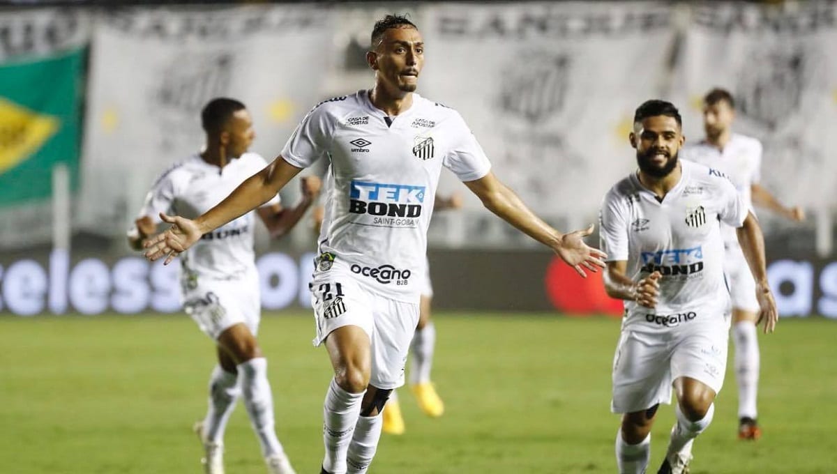 Santos y Palmeiras Pelearán por la Copa Libertadores 1 fut