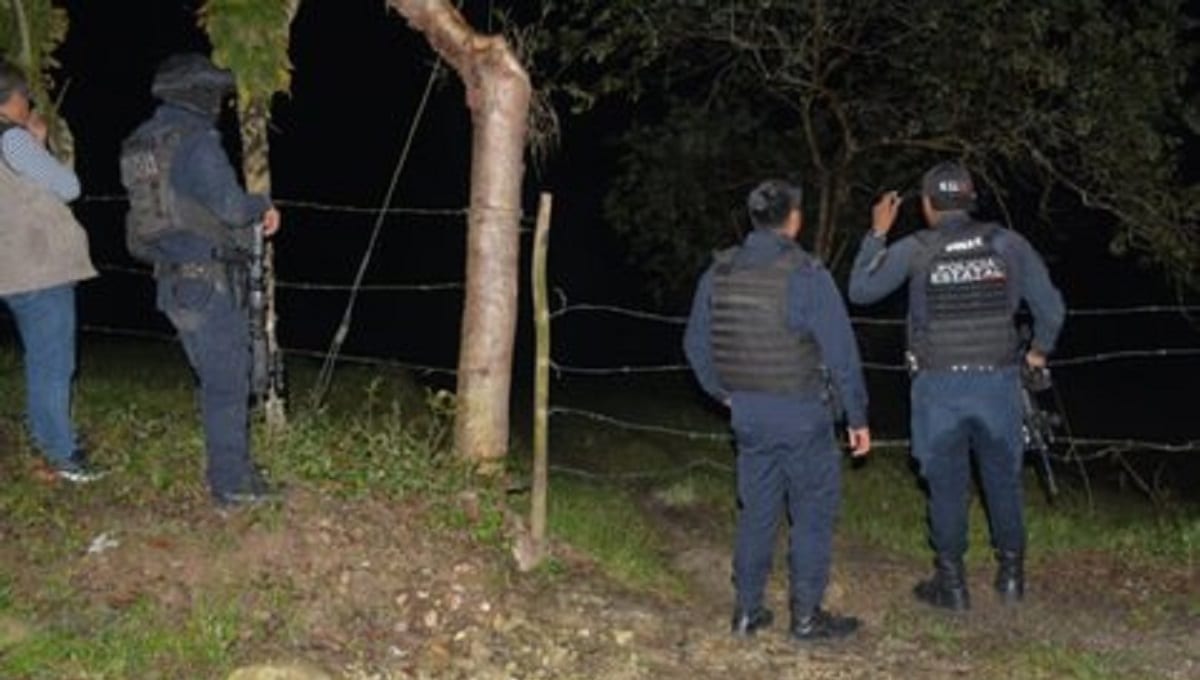 En el país del horror: Encuentran doce cuerpos con huellas de tortura en Veracruz 1 veracruz