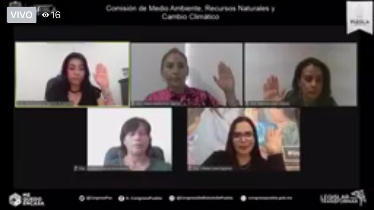 Aprueban homologar la Ley Desarrollo Forestal Sustentable con el ordenamiento federal 1 1442 2