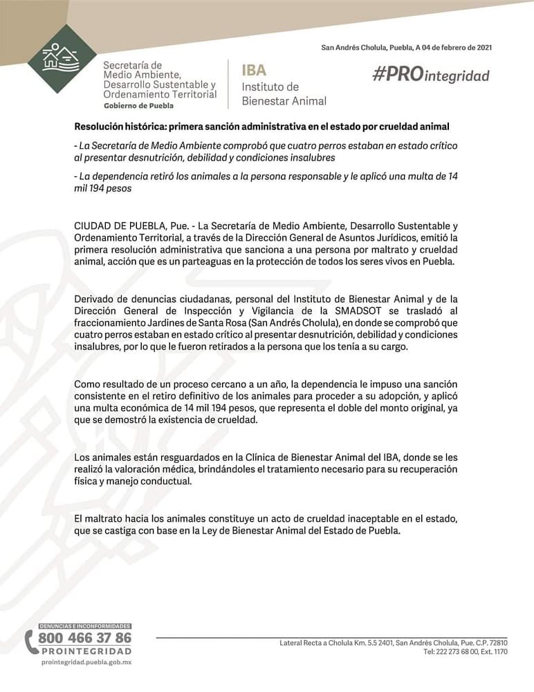 145041739 2872345926347039 6189717672871905943 n 1