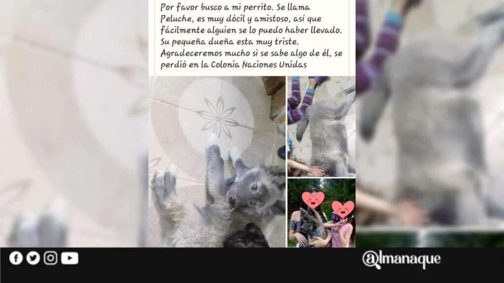 146163039 713330596045230 5310736697916217139 n