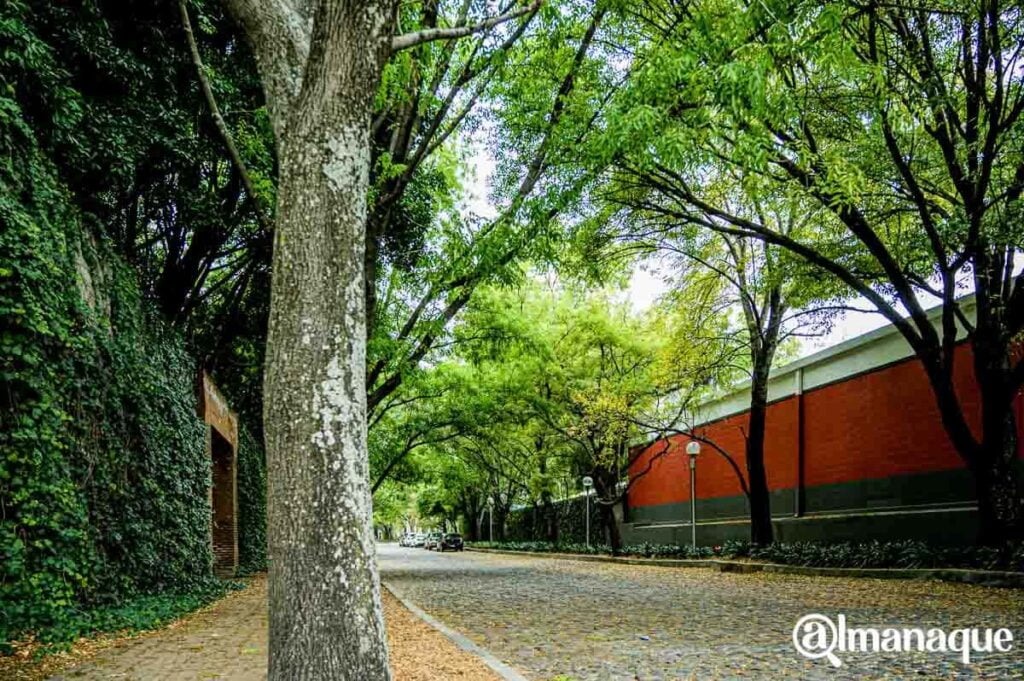 27 Poniente Belisario Dominguez3